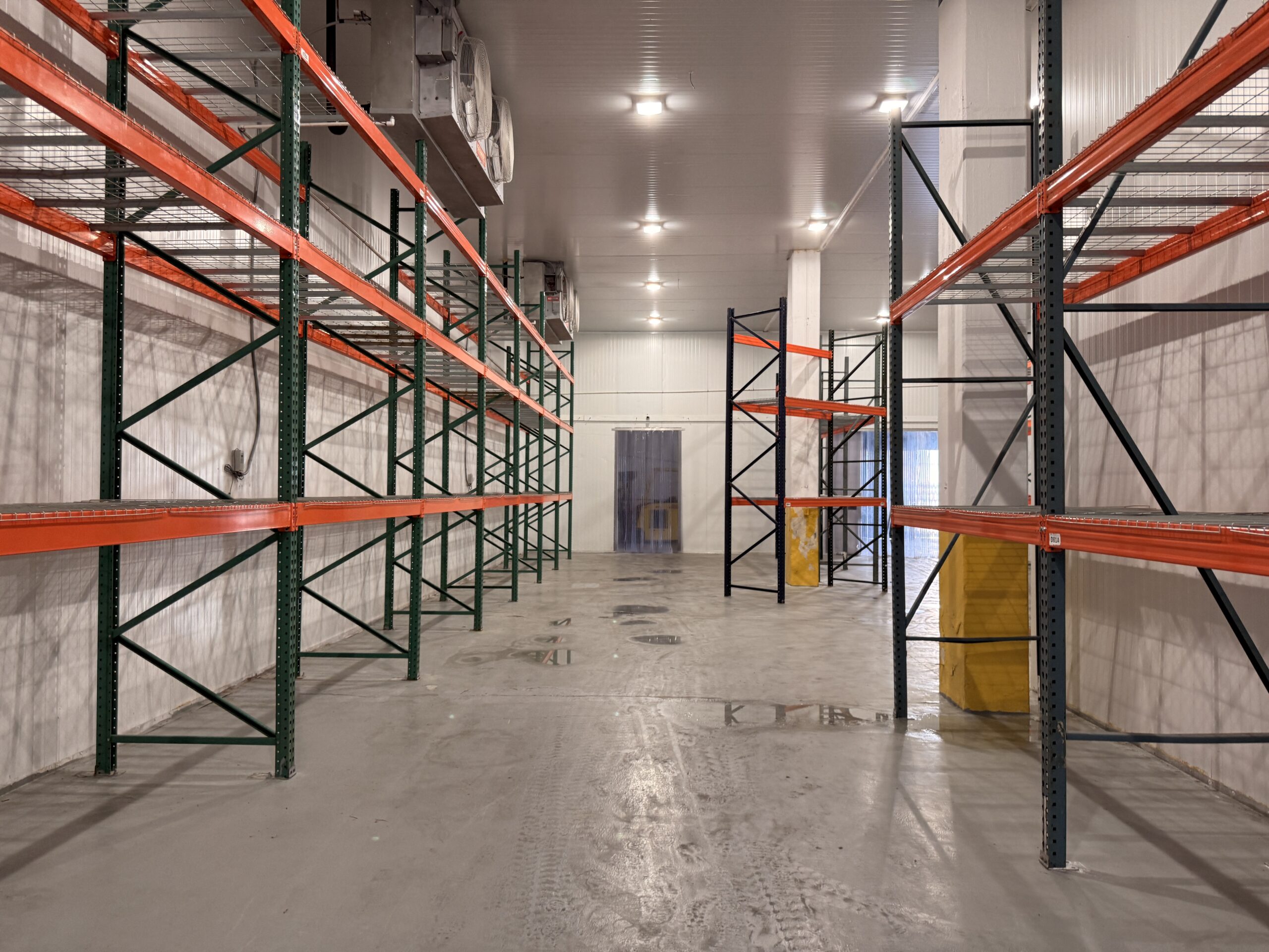 Refrigerated cold storage room with racking and strip curtain at SJU Logistics in Carolina, Puerto Rico